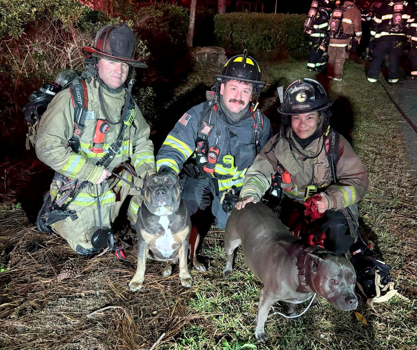 Dogs rescued from house fire - Valdosta Daily Times | Valdosta Daily Times