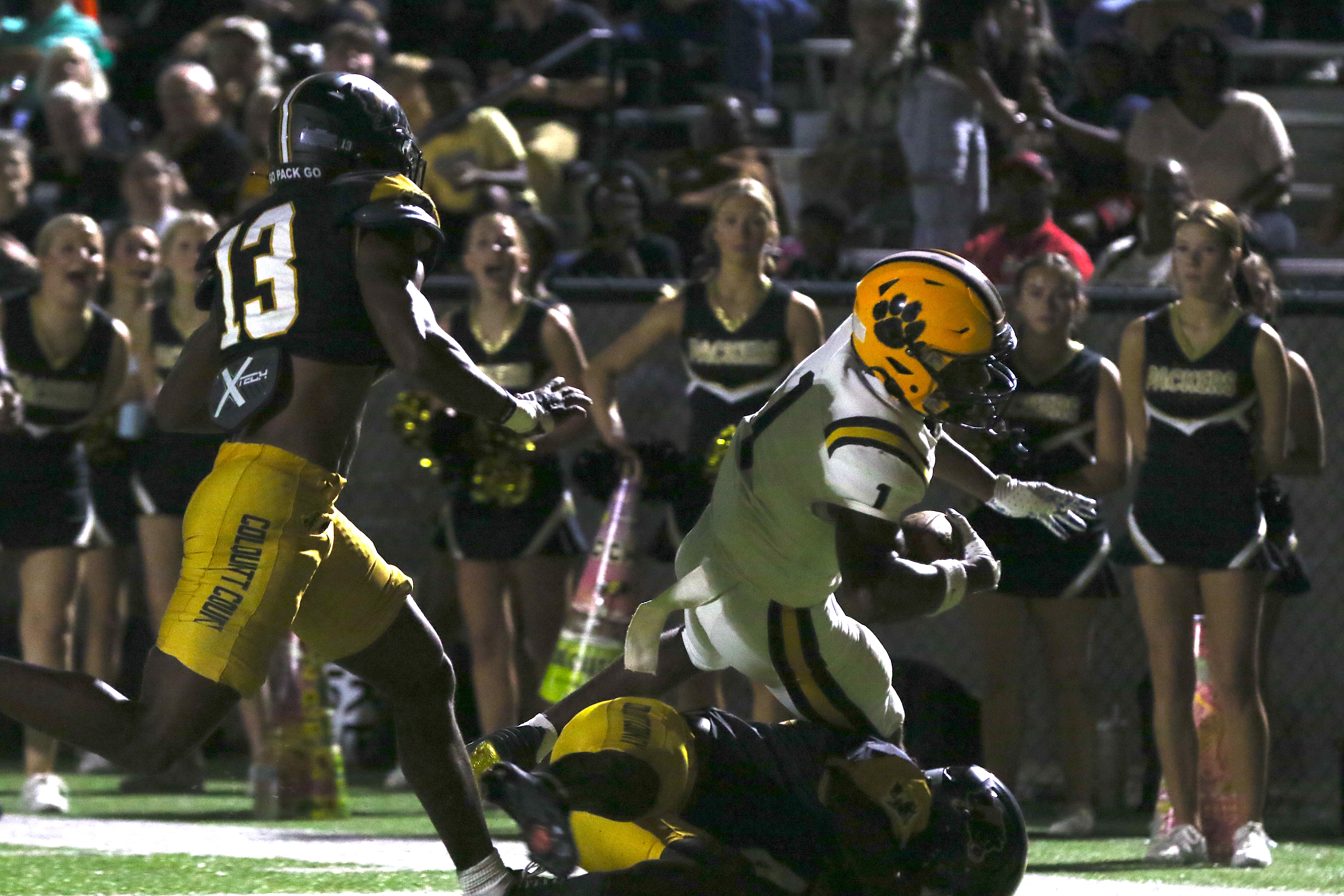 Sports Valdosta Daily Times sports-valdosta-daily-times